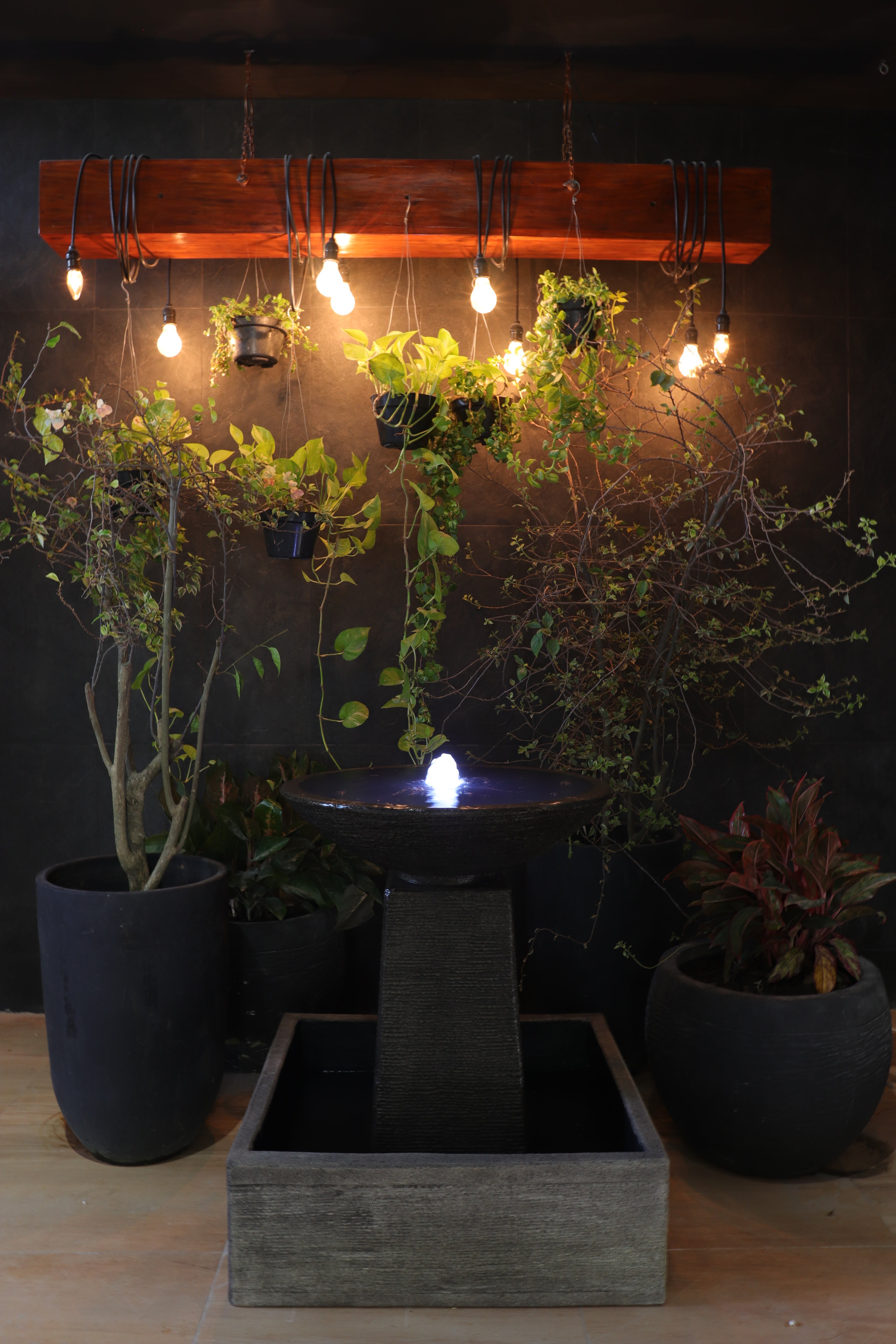 Aquarius Fountain - medium