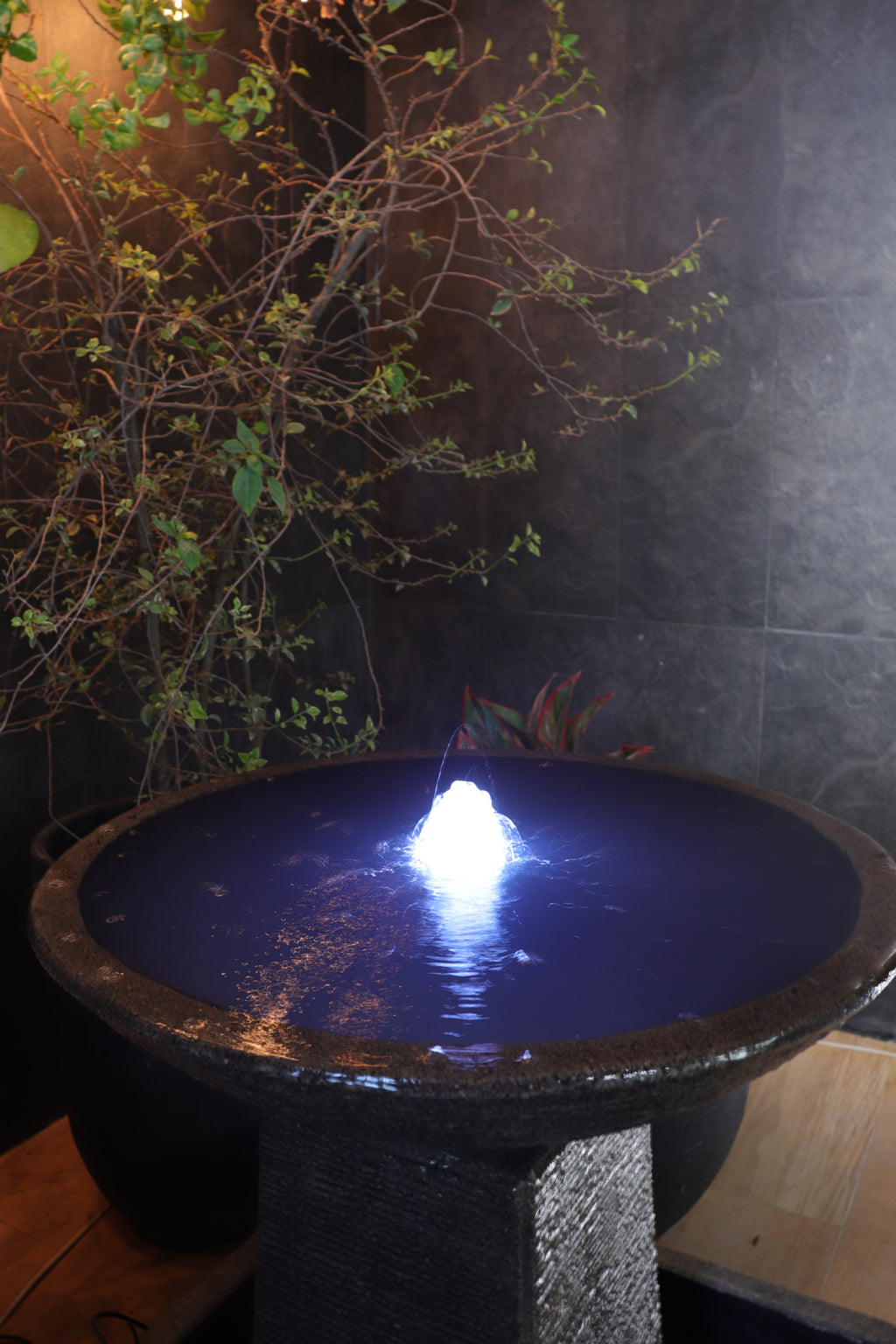 Aquarius Fountain - medium