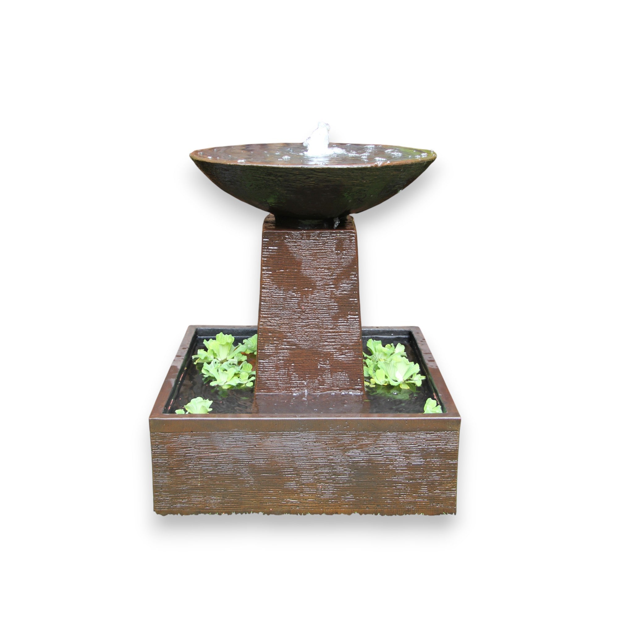 Aquarius Fountain - medium