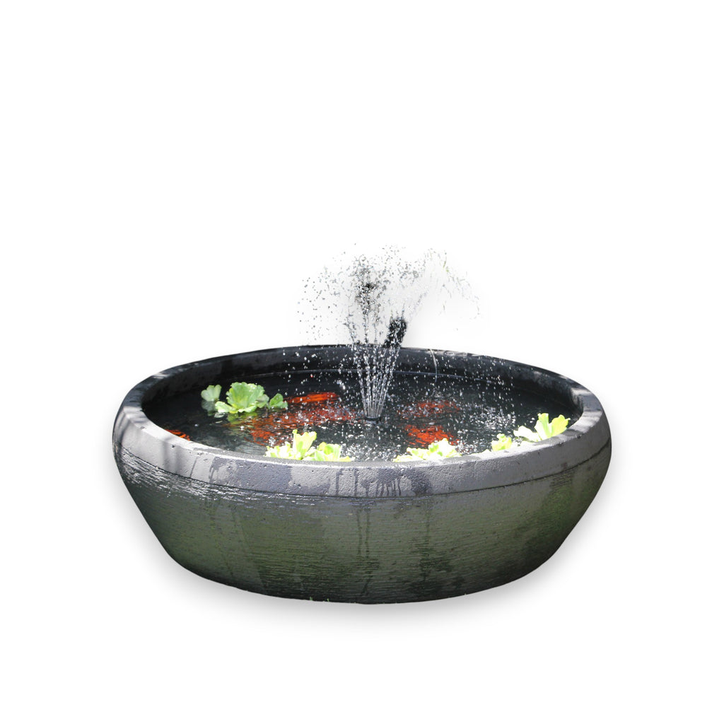 Fish Pond Fountain