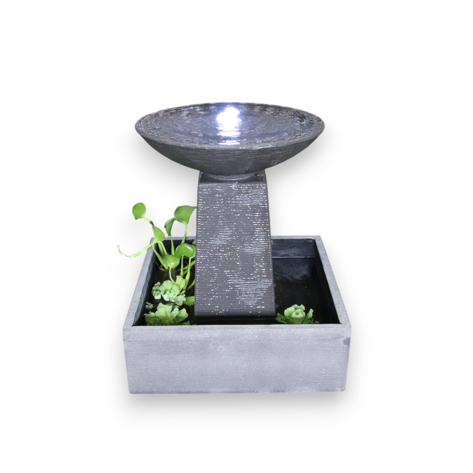 Aquarius Fountain - medium