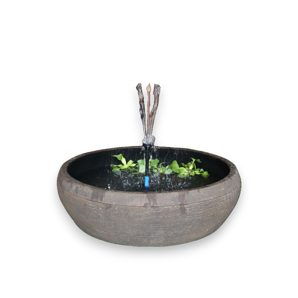 Fish Pond Fountain
