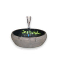 Fish Pond Fountain