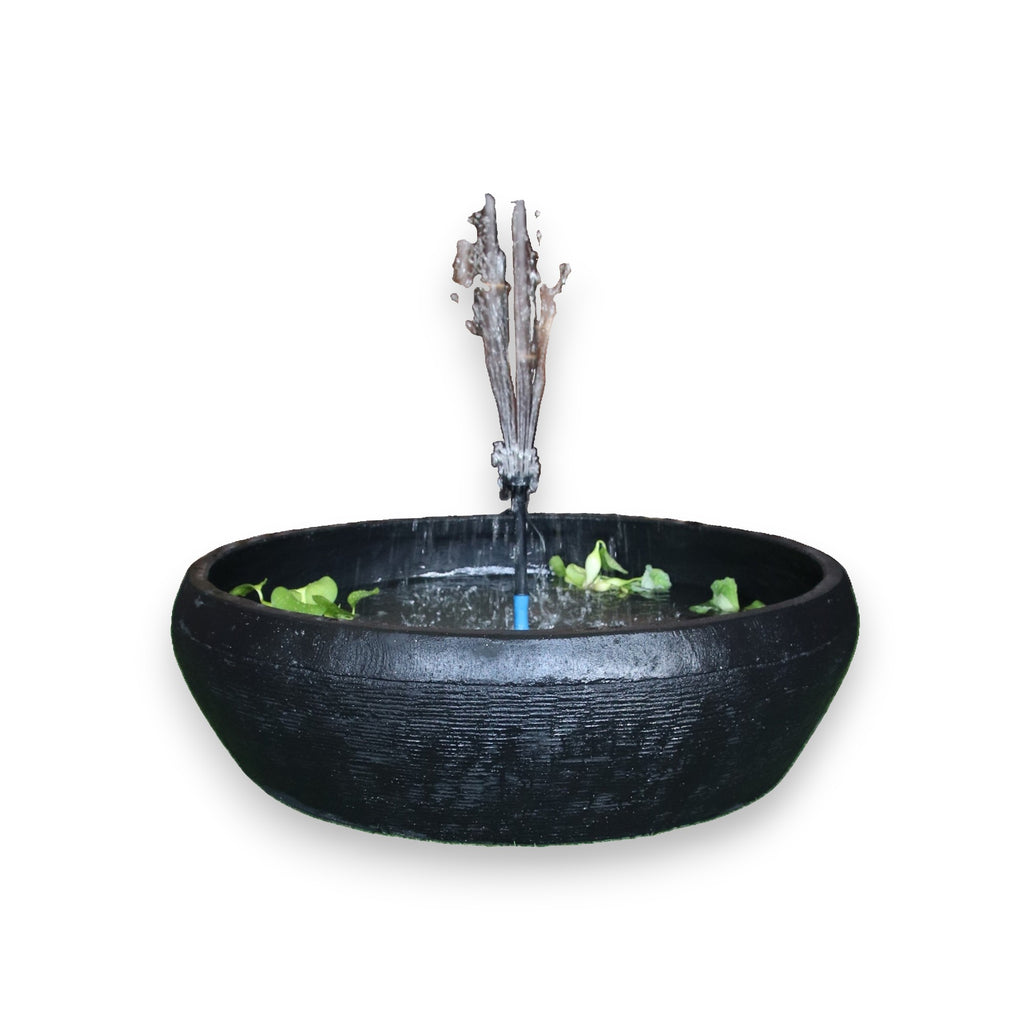 Fish Pond Fountain